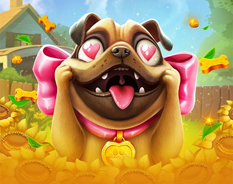 Go High® Puppy Love